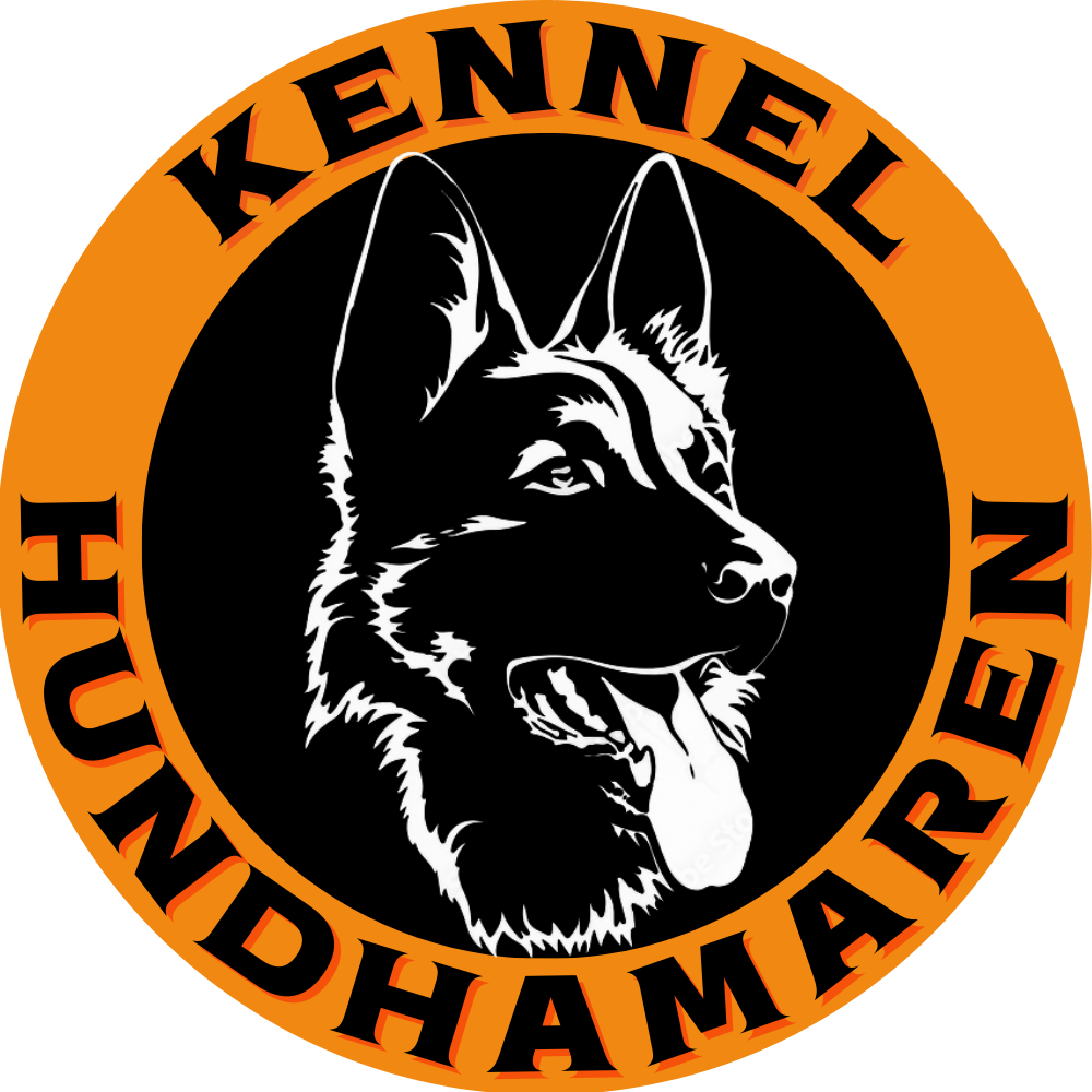 Hundhamaren