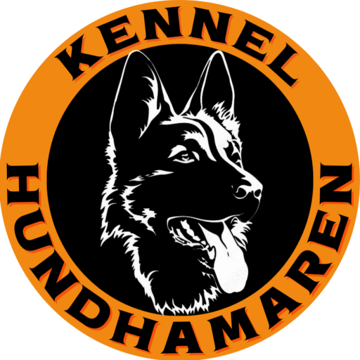 Kennel Hundhamaren