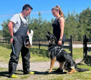 Kan langhår krysses med korthår?
